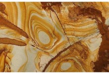 PALOMINO-Origin  Brazil