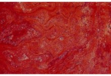 RED CROSS CUT.Origin - TurkeyIran
