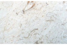 CREMA PERLA (PEARL CREAM)Origin  Turkey